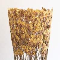 <a href="https://www.galeriegosserez.com/artistes/clegg-shannon.html">Shannon Clegg</a> - « Flora » - Large Gold Sculpture